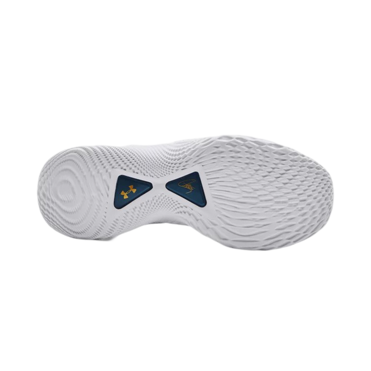 Under Armour Curry Flow 9 3PT "Blue"