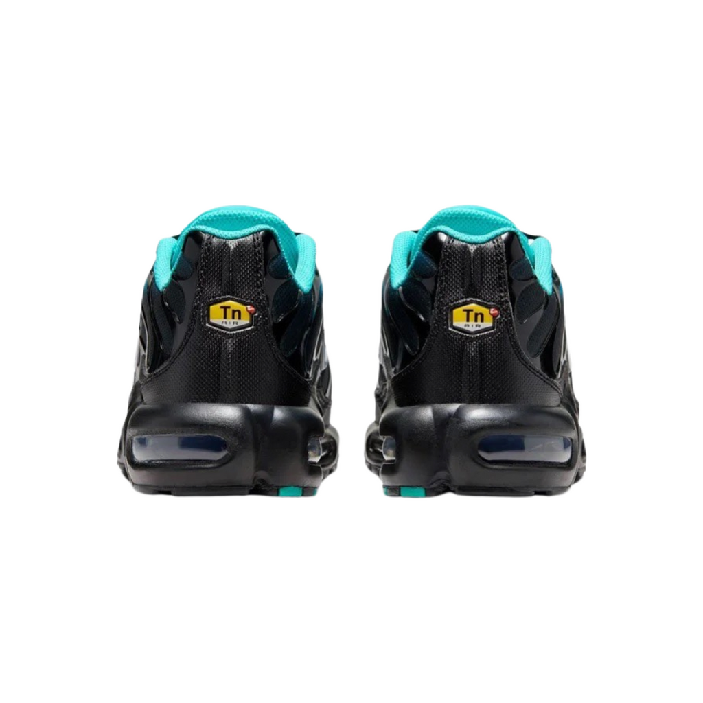Nike Air Max Plus TN Caribbean Summit White Black Blue
