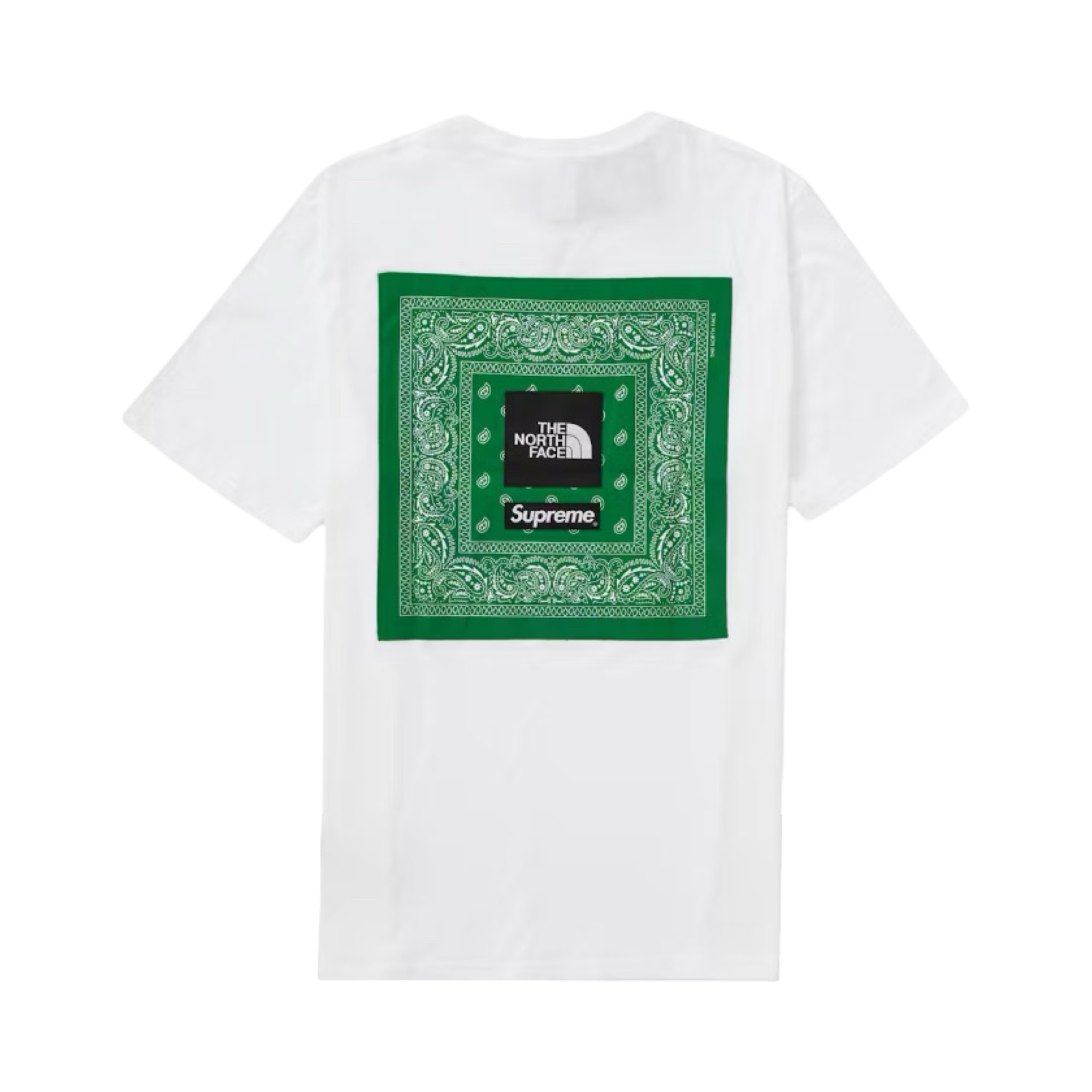 Supreme x The North Face Bandana Tee White Green