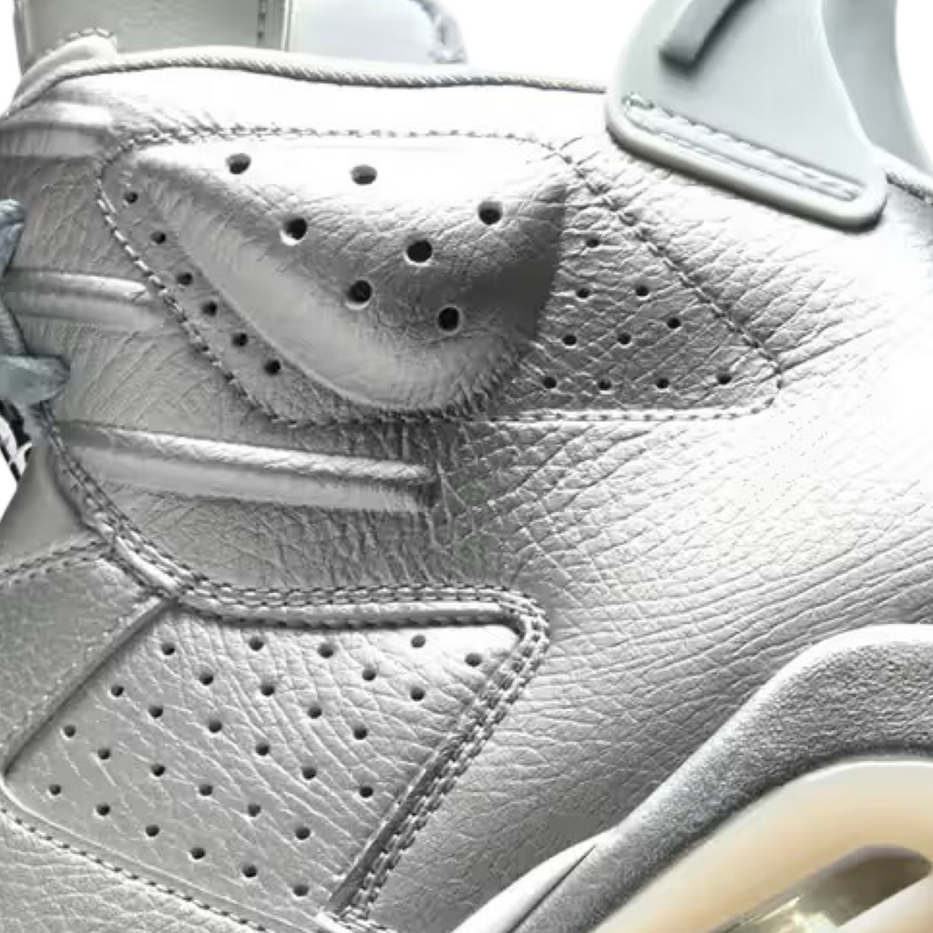 Air Jordan 6 PSG Silver