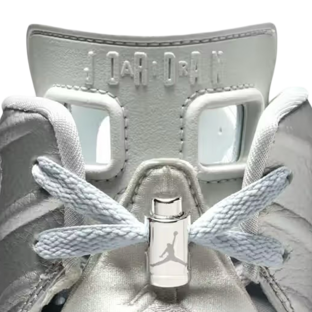 Air Jordan 6 PSG Silver