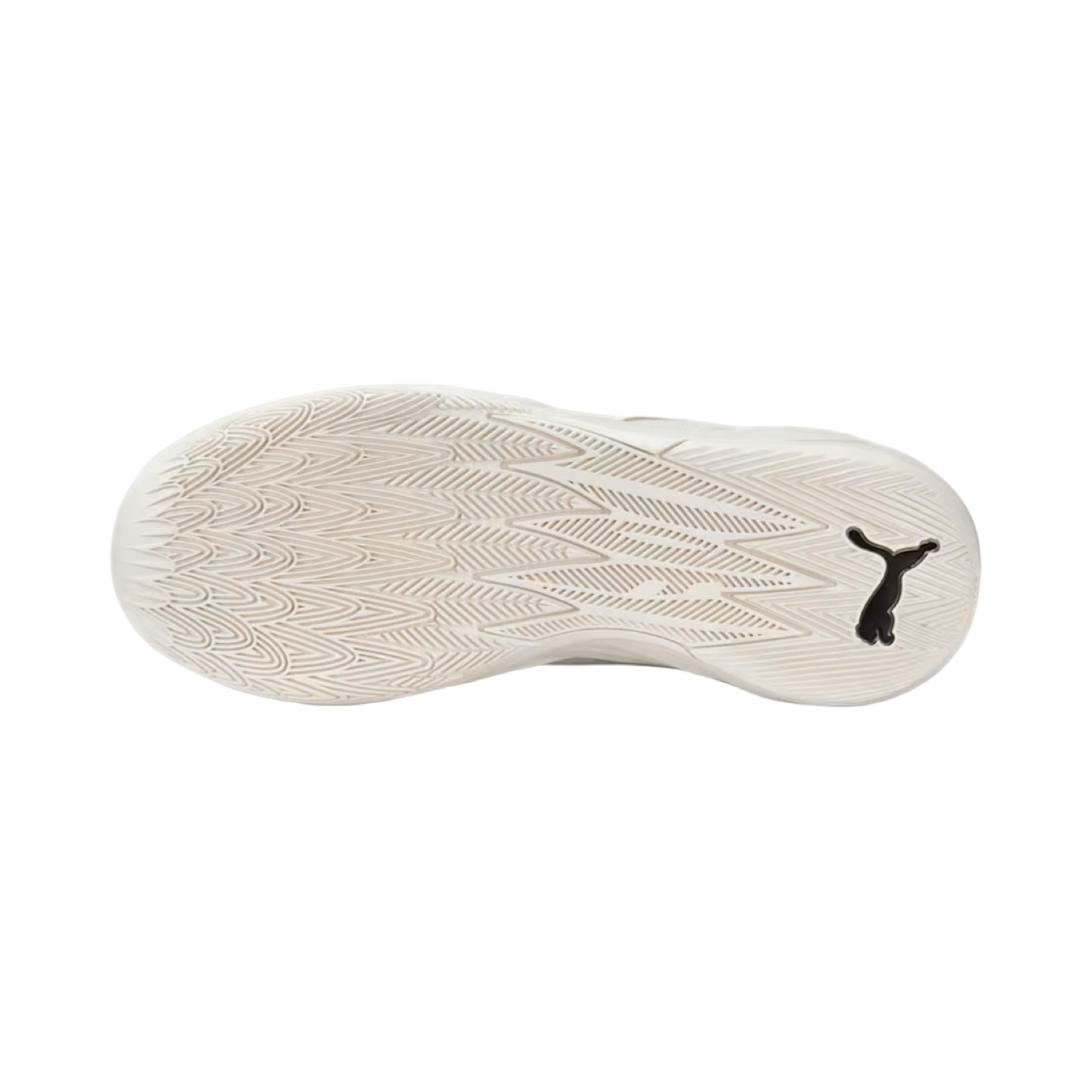 Lamelo MB.02 Frosted Ivory