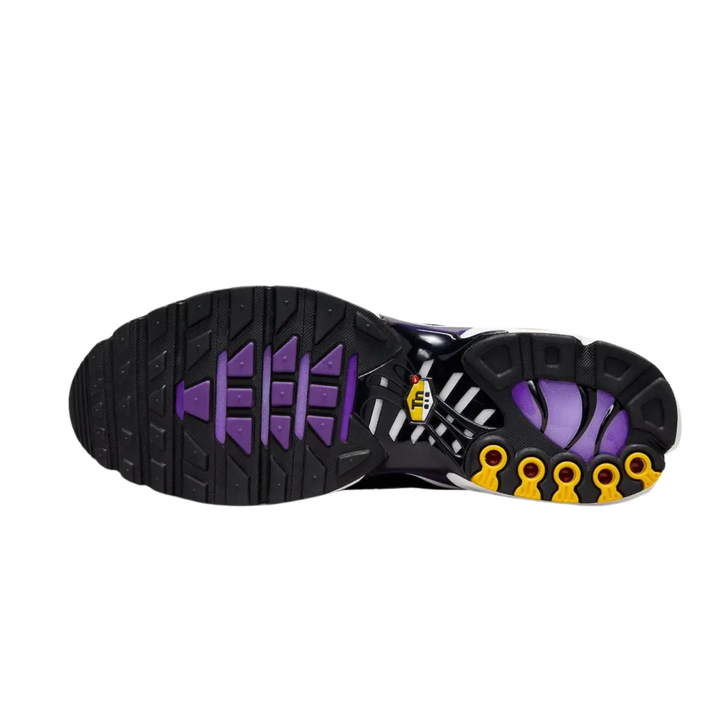 Nike Air Max Plus Voltage Purple Total Orange Purple Agate DX0755-500