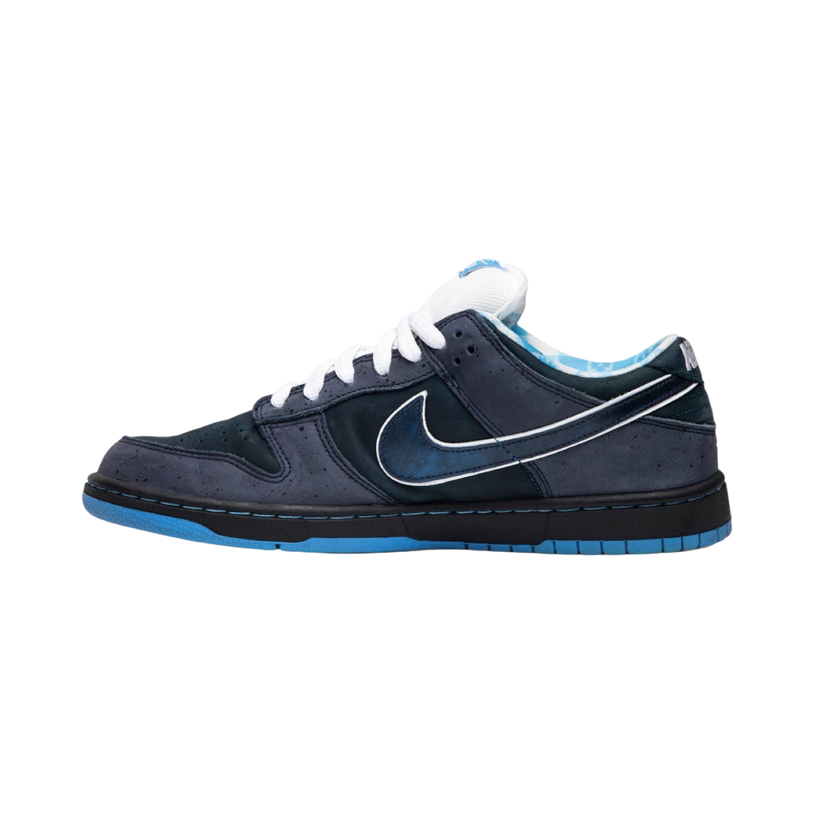 Nike SB Dunk Low Concepts Blue Lobster Nightshade Dark Slate