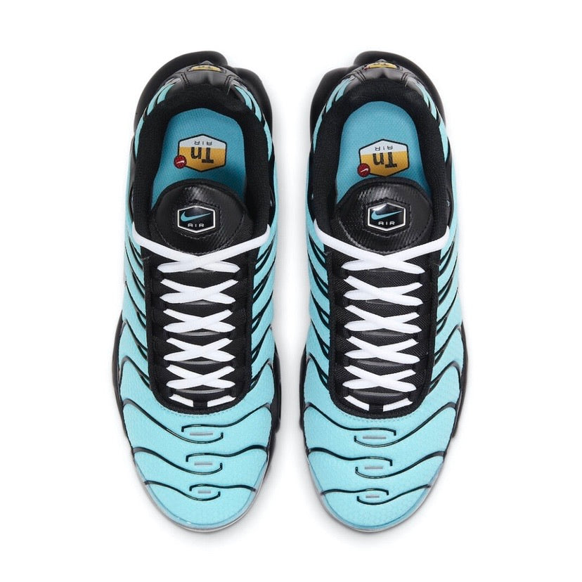 Nike Air Max Plus Tiffany Aqua Metallic Silver Black